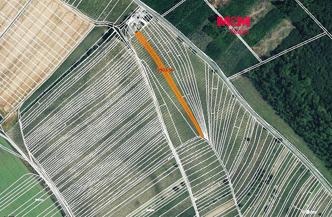 Prodej sadu, vinice 2497 m²